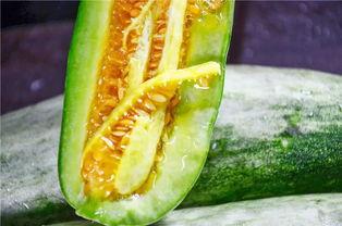 有哪些网红有瓜吃,盘点那些“有瓜吃”的明星网红